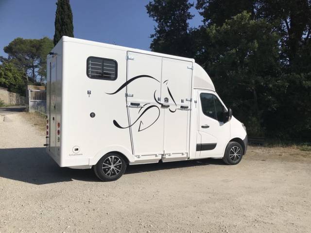 Van per Cavalli Renault  2013 Occasione