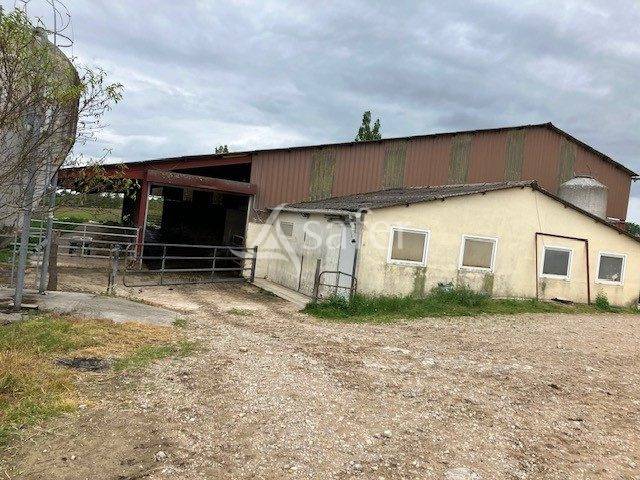 Azienda lattaia In vendita Jura