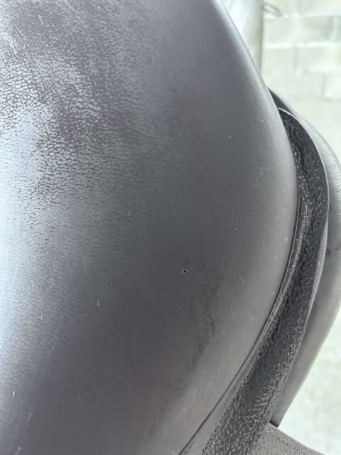 Sella da salto ostacoli  Atlanta 17.5" - 2024