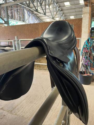 Sella da salto ostacoli Prestige Italia Golden Star 17" - 2012