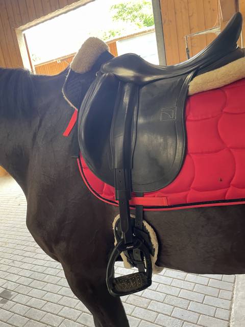 Sella da dressage Childeric  17.5" - 2019