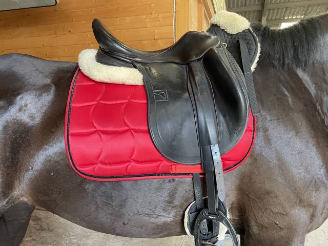 Sella da dressage Childeric  17.5" - 2019