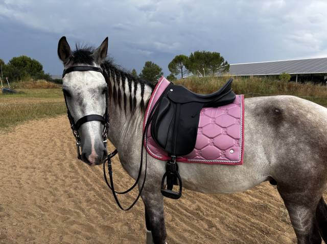 Sella da dressage Zaldi New kent 17.5" - 2022
