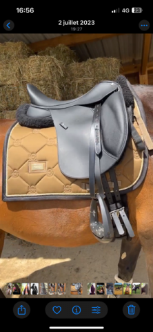 Sella da dressage Wintec  18" - 2024