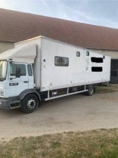 Camion per Cavalli Renault RENAULT M250 1998 Occasione