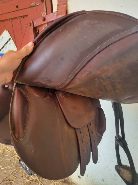 Sella da salto ostacoli   17.5" - 2010