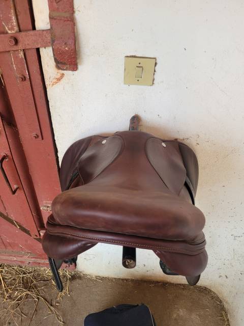 Sella da salto ostacoli   17.5" - 2010