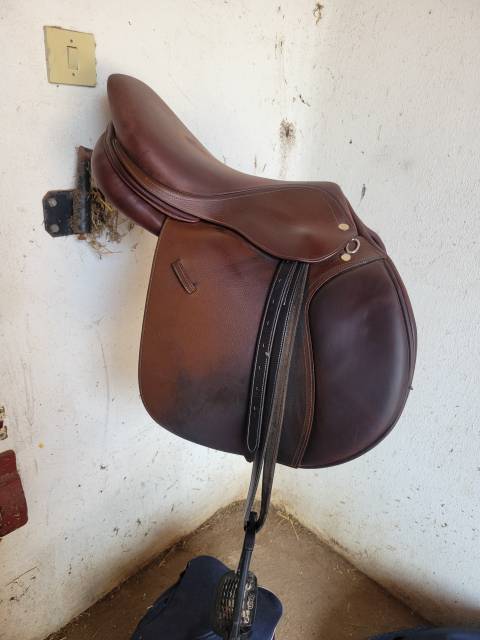 Sella da salto ostacoli   17.5" - 2010