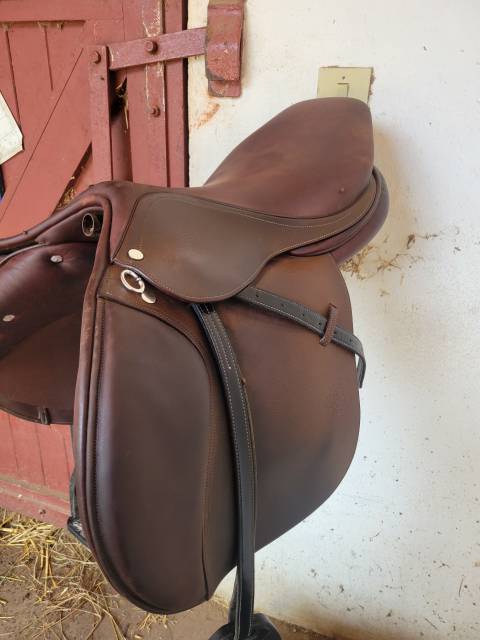 Sella da salto ostacoli   17.5" - 2010