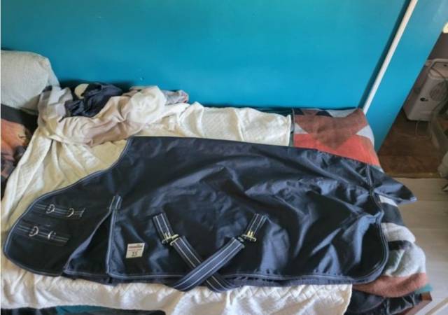  Premier Equine Nuovo