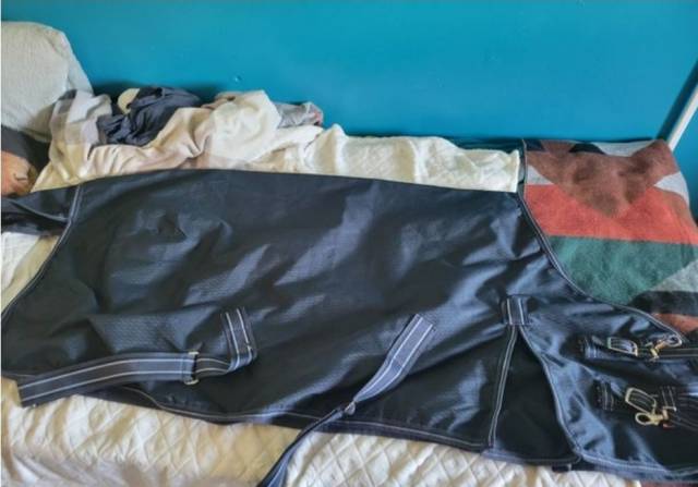  Premier Equine Nuovo