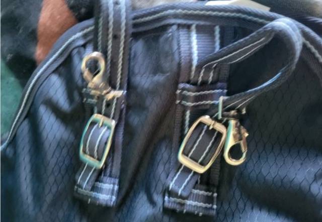  Premier Equine Nuovo