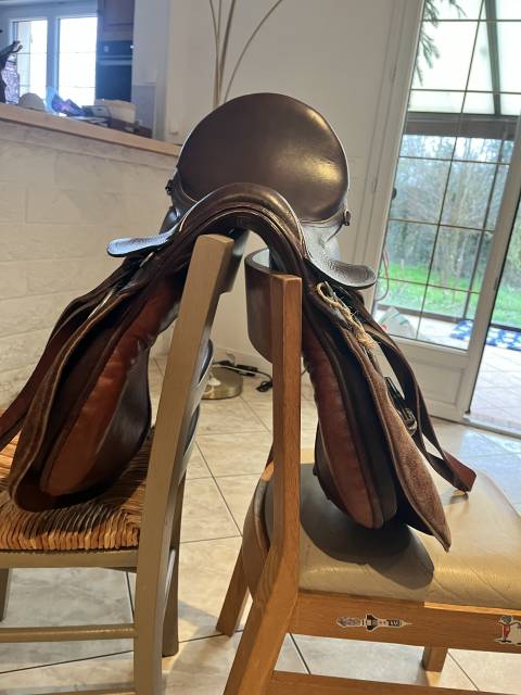 Sella mista Ronzon Junior  18" - 2014