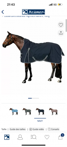  Félix Bühler Occasione