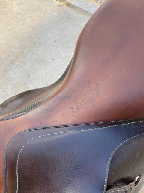 Sella da salto ostacoli Antarès  17.5" - 2013