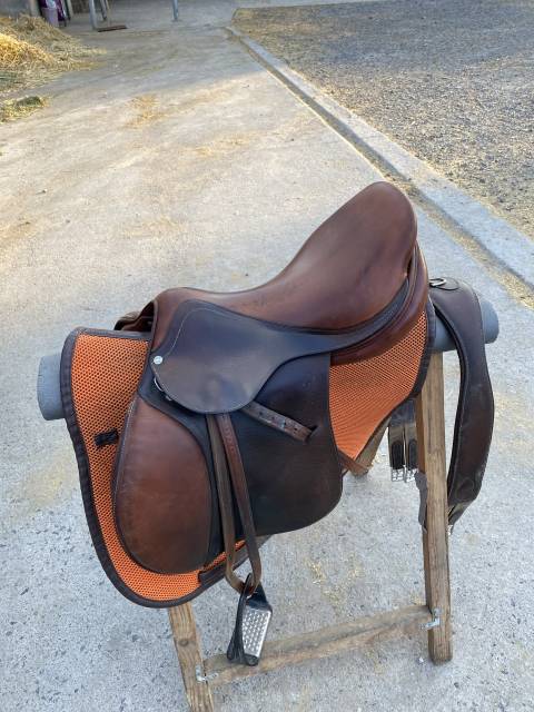 Sella da salto ostacoli Antarès  17.5" - 2013