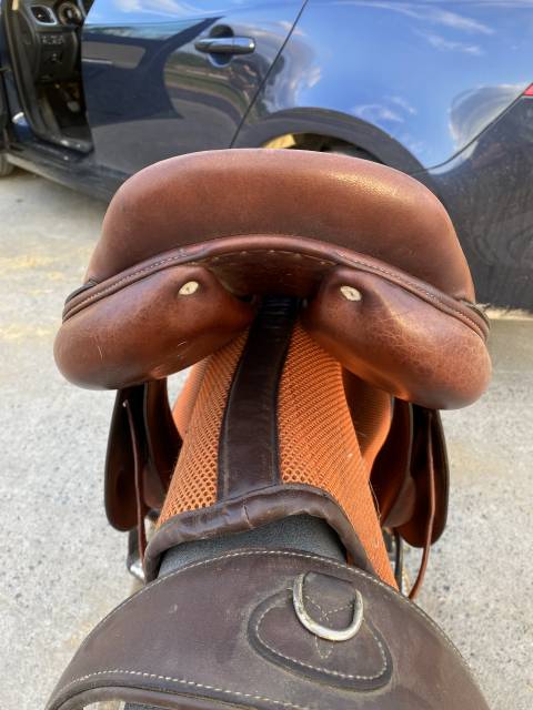 Sella da salto ostacoli Antarès  17.5" - 2013