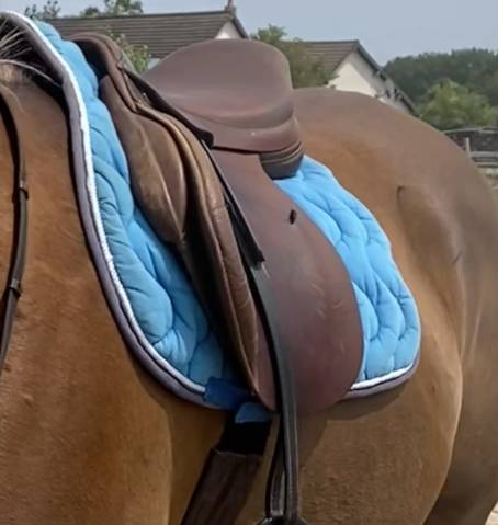 Sella mista Forestier  17" - 2008