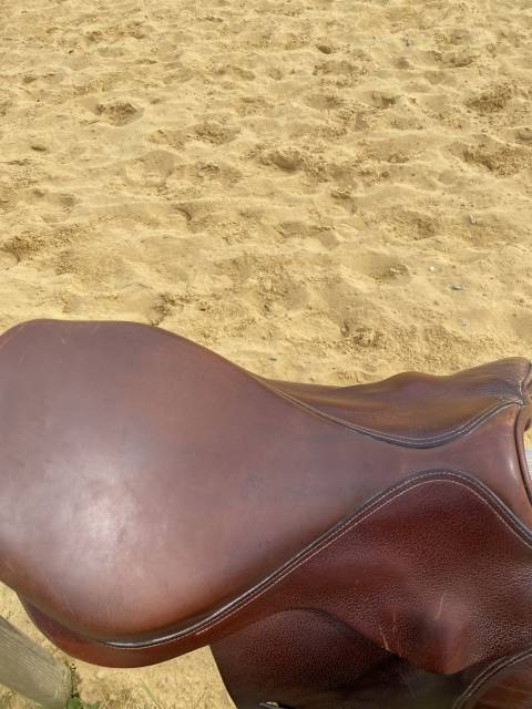 Sella mista Forestier  17" - 2008