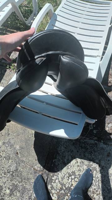 Sella mista Privil&egrave;ge Equitation  17.5" - 2014