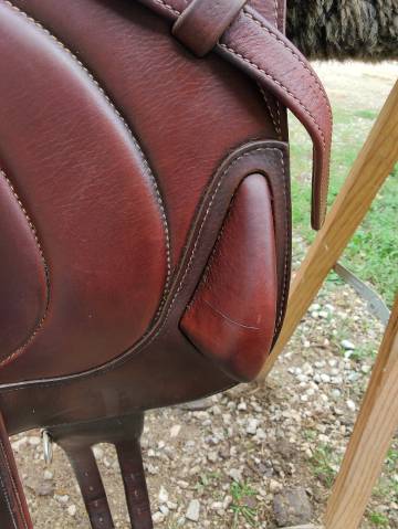 Sella da salto ostacoli Antarès  17.5" - 2021