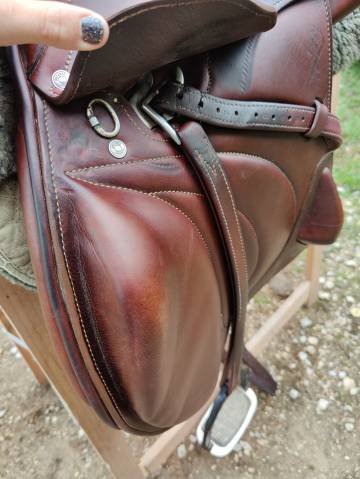 Sella da salto ostacoli Antarès  17.5" - 2021