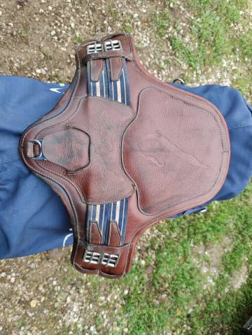 Sella da salto ostacoli Antarès  17.5" - 2021