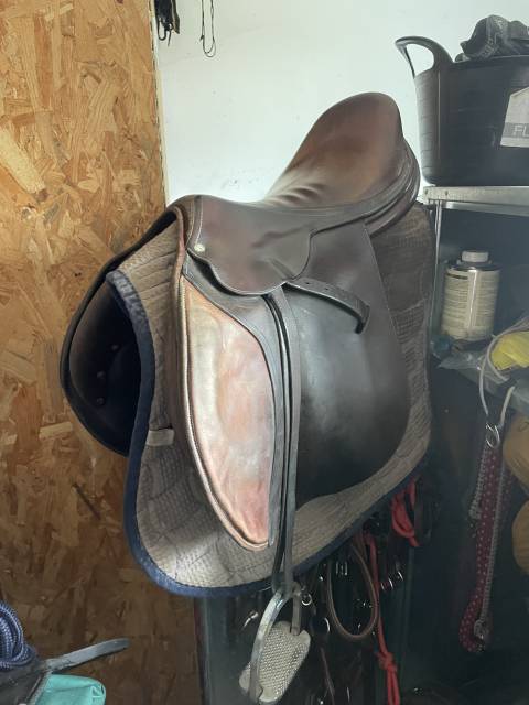 Sella da salto ostacoli Butet  17" - 1997