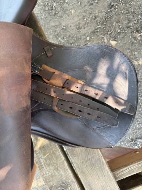 Sella mista Antar&egrave;s  17.5" - 2019