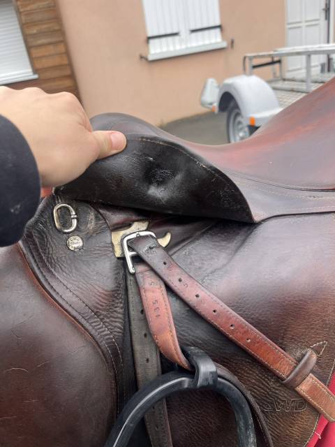 Sella mista CWD  17.5" - 2006