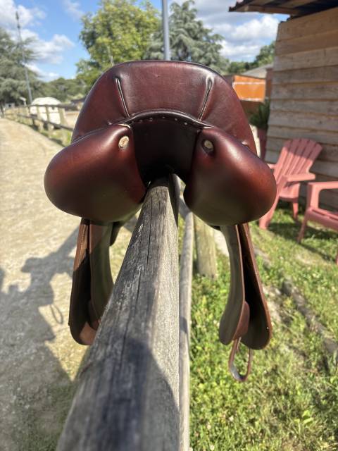 Sella da salto ostacoli Antarès  17.5" - 2022