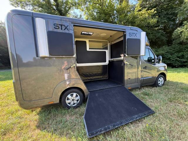 Van per Cavalli STX Master 2023 2023 Occasione
