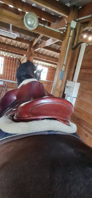 Sella da dressage Devoucoux  18" - 2013