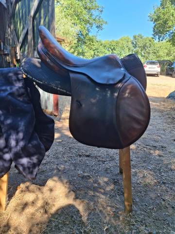 Sella mista Antarès  17" - 2019