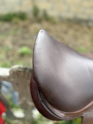 Sella mista  Horse impact  17" - 2021