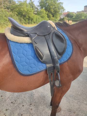 Sella mista  Monoquartier  17.5" - 2021