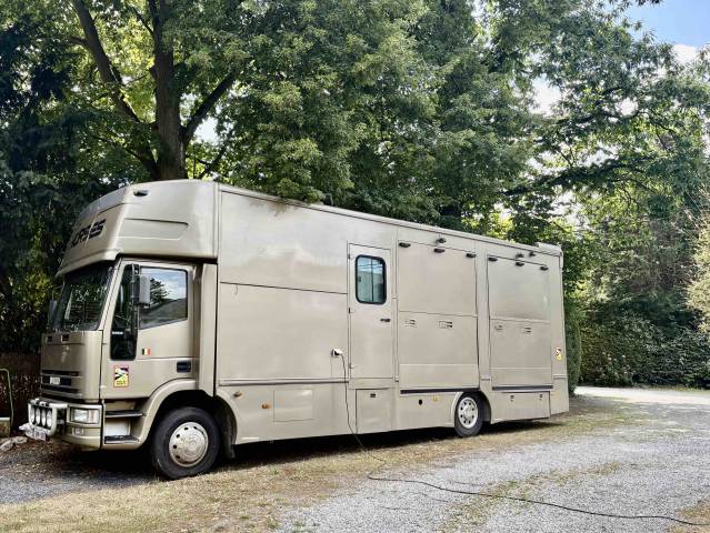 Camion per Cavalli Iveco eurocargo 2001 Occasione