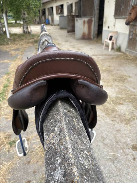 Sella mista Forestier  18" - 2019