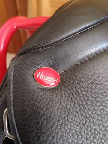 Sella Junior / Sella Pony John Whitaker Highgate 15.5" - 2020