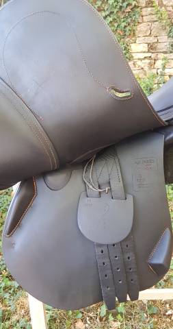 Sella da salto ostacoli Antarès  17.5" - 2019