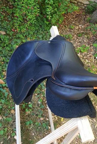 Sella da salto ostacoli Antarès  17.5" - 2019