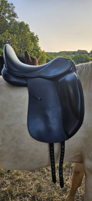 Sella da dressage   17.5" - 2019