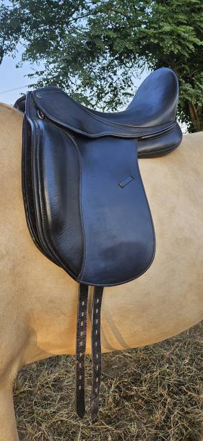Sella da dressage   17.5" - 2019