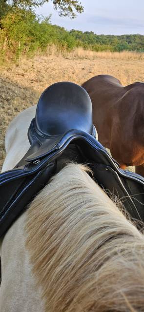 Sella da dressage   17.5" - 2019