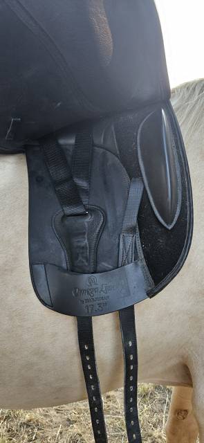 Sella da dressage   17.5" - 2019