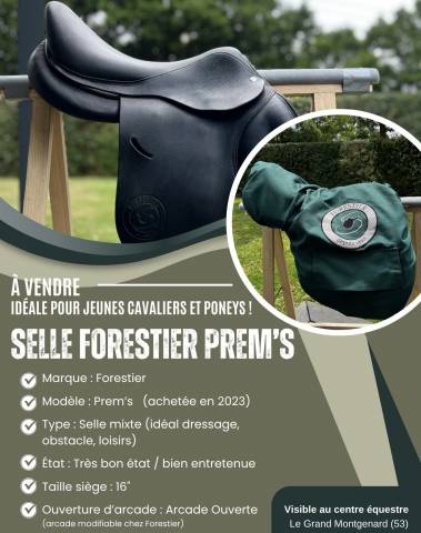 Sella mista Forestier  16" - 2023