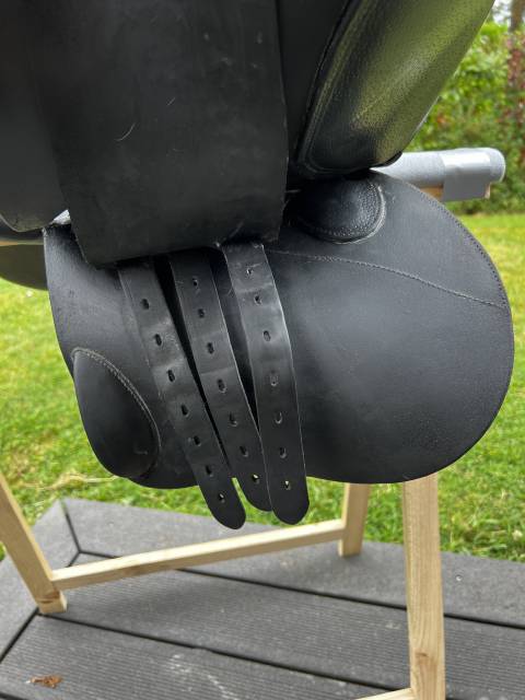 Sella mista Forestier  16" - 2023