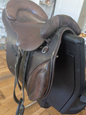 Sella da salto ostacoli  Guy Cantin  15.5" - 2019