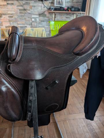 Sella da salto ostacoli  Guy Cantin  15.5" - 2019