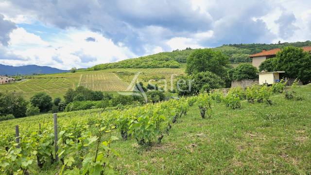 Azienda viticola / Vigneto In vendita Rhône
